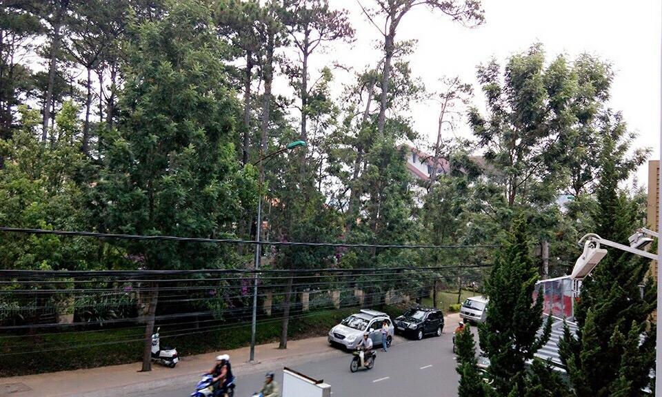 Trang Thanh 2 Guest House Da Lat Exterior photo